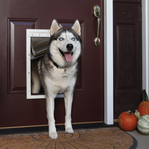 PetSafe® Extreme Weather Pet Door & Reviews Wayfair